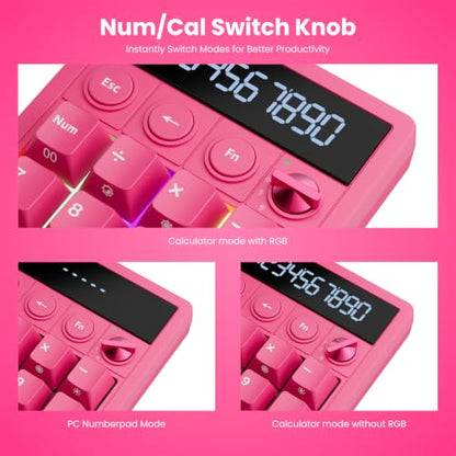 RK ROYAL KLUDGE M20 Wireless Number Pad, Mechanical Numpad with LCD Display, PC Numpad & Calculator Modes, Programmable Numeric Keypad, Bluetooth/2.4G/Wired, RGB Hot-Swappable for Win/Mac - color: Cherry