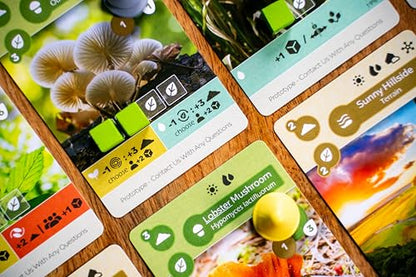 Inside Up Games Bundle: Earth + Earth Abundance Expansion