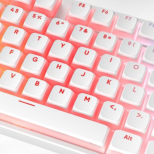 Pudding Keycaps PBT Double Shot Keycaps Gaming Keycap XDA Profile for US/ISO Layout 60% 65% 75% Mechanical Keyboard(White) - color: White pudding