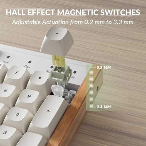 Keychron K10 HE Hall Effect Keyboard, Ultra-Fast Lime Banana Magnetic Switch, Full-Size Tri-Mode Wireless Keyboard with Rapid Trigger, Adjustable Actuation, RGB, Aluminum + Wood Frame - White - color: Lime Banana Switch - White