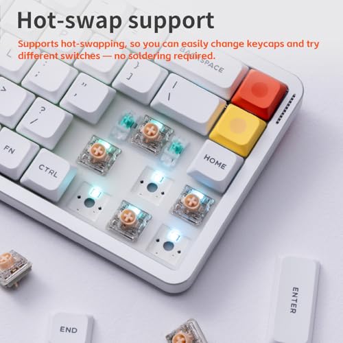 nuphy Air65 V3 Hot Swappable Wireless Mechanical Keyboard, 68 Keys 65% Layout Custom Low Profile Keyboard with Multifunctional knob,Gasket Mounted,RGB Backlit,Support Bluetooth/2.4GHz/USB-C - color: White, size: Blush nano Switch