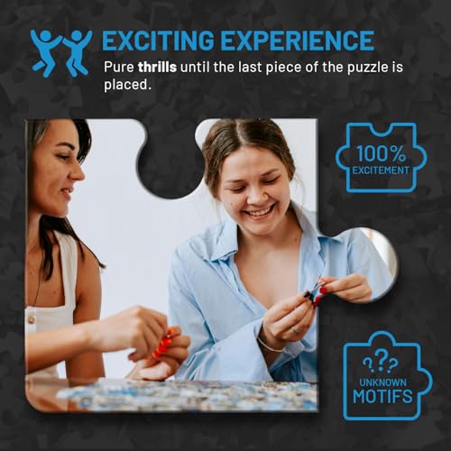 Misu Games Black Box Puzzle Without Template, Jigsaw Puzzles for Adults 1000 Pieces, Cool Jig-Saw Puzzels 20x27 Multiple Categories, Difficult Puzzle (Architecture, 2023)
