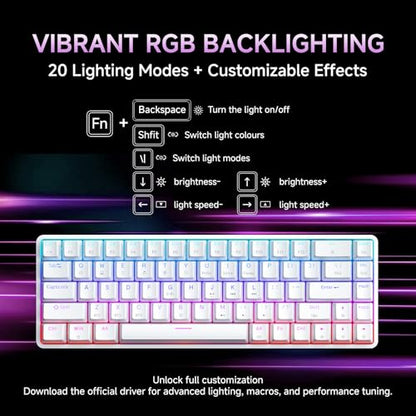 DIERYA DK68 60% Wireless Mechanical Gaming Keyboard, 3-Mode, Bluetooth 5.0/2.4G/USB-C, RGB Backlit, 68-Key Compact Mini for Windows, Mac, Linux - Linear Red Switch - White - color: White/Red Switch, size: Wireless