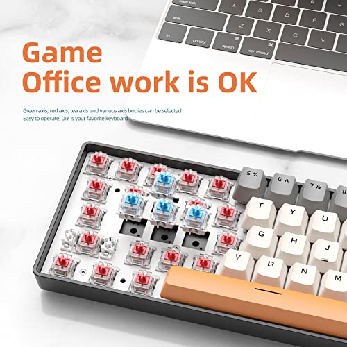 68 Keys Wired Mechanical Gaming Keyboards with RGB Backlight, Mini Portable 60% Mechanical Gaming Keyboard for Computer Laptop Gamer (Aqua Edition Blue Switch) - color: Aqua Edition Blue Switch