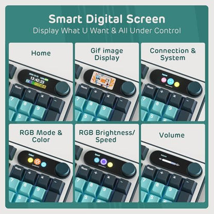 RK ROYAL KLUDGE S98 Wireless Mechanical Keyboard w/Smart Display & Knob | 96% RGB Wireless Gaming Keyboard BT/2.4G/USB-C, Hot Swappable Custom Keyboards, Creamy Sound Silent Computer Keyboard - color: Turquoise Green, size: Linear Silent Switch