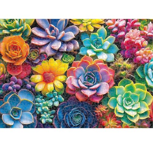 1000 Piece Puzzle for Adults, 20 x 27 inches Jigsaw Puzzles - Succulents | Tight Piece Fit, 1:1 Reference Poster, Lettered Back, Minimal Puzzle Dust, Vibrant Colors, 2mm Extra-Thick Pieces - color: 1000 Pieces-colorful Succulents
