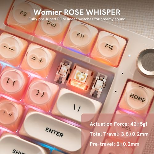 COSTOM WK75 75% Wireless Gaming Mechanical Jelly Keyboard, BT5.0/2.4GHz/USB-C, Hot Swappable Pre-lubed Custom Linear Switches, Gasket Structure, RGB Backlit Cute Keyboard for PC/Laptop/Xbox(Pink) - color: Pink