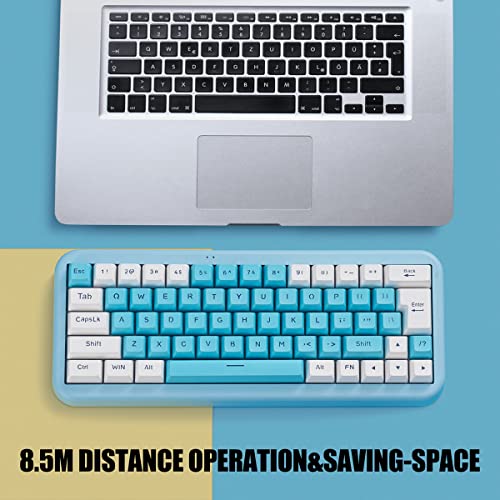 7KEYS 60% 2.4G Wireless Gaming Keyboard with Wrist Rest, Compact 63 Keys Mini RGB Light up Keyboard for PC Mac Laptop, Portable, Rechargeable Quiet for Typing and Gaming (Blue&White)