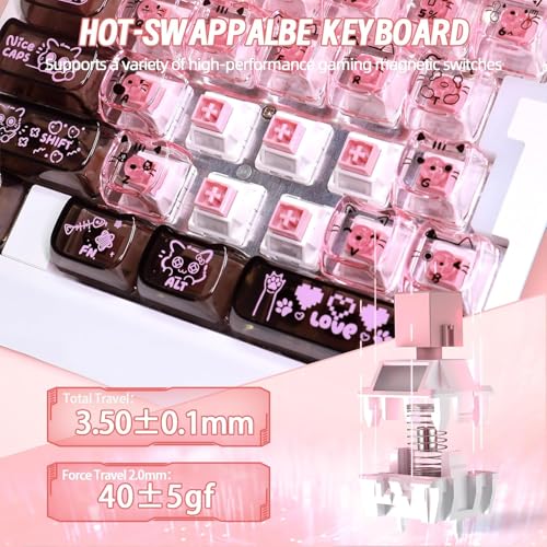 A.JAZZ AK029 Wired 29 Keys One-Handed RGB Gaming Keyboard with 8000HZ,0.01mm RT Magnetic Switches Adjustable Actuation,Hotswappable Mechanical Keyboard,Aluminum Plate,Web Driver for Gamers-Black Pink - color: Back & Pink