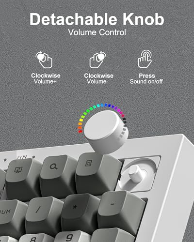 Womier K105 Membrane Gaming Keyboard,RGB Quiet Keyboard for Office, USB Wired,26 Keys Anti-ghosting Computer Keyboard 104 Keys - Gray