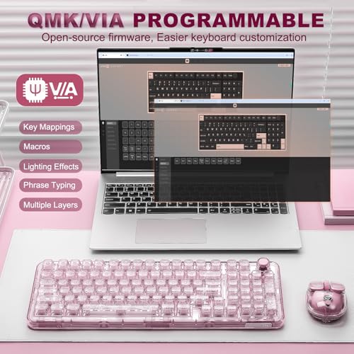 YUNZII X98 Clear Wireless Mechanical Keyboard with Knob (Pink, Snow Switch) | BT5.0/USB-C/2.4GHz,1800 Layout with Number Pad,Pre-lubed Switches Gasket Mount ,Clear Keyboard with RGB for Wins/Mac/Gaming - color: Pink, size: Snow Switch