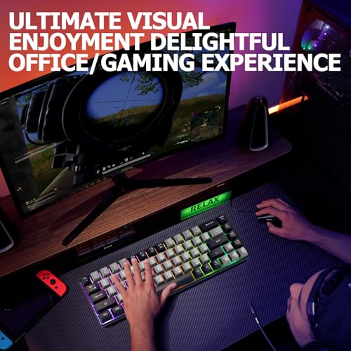 Guiheng Wired Portable 60% Mechanical Gaming Keyboard,RGB LED Backlit Compact 68 Keys Mini Wired Office Keyboard with Red Switch for Windows Laptop PC Mac -Grey and Black - color: grey and black