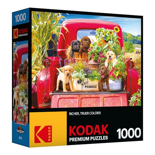 RoseArt Kodak Premium Stowaways 1000 Piece Jigsaw Puzzle for Adults | 20" x 27" Finished Size, Fully Interlocking Pieces, Bonus Poster Included, Made in USA - style: Stowaways