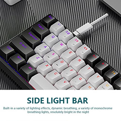 61 Keys Backlight Gaming Keyboard 60 Percent Mechanical Keyboard with Blue Switches for Windows Pc Gaming Keyboards Wired Light Up Mini Keyboards Birthday Gifts