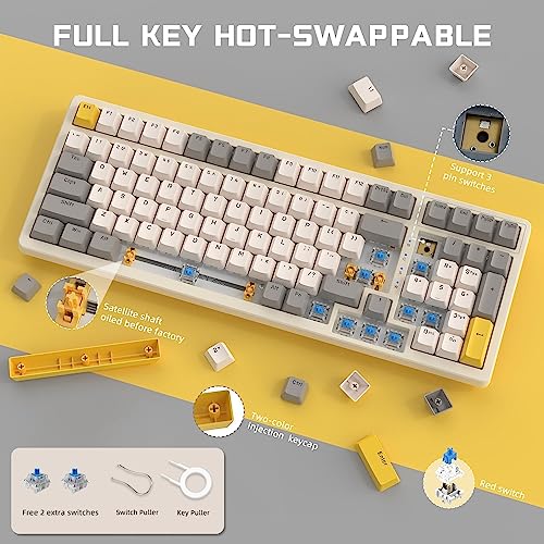 Ajazz Mechanical Gaming Keyboard, Hot Swappable with Numeric Pad, Compact USB Wired 100 Keys, Double-Shot ABS Keycaps, N-Key Rollover RGB Custom for PC Mac (MX Blue) - color: Cheese/Hot-swap Blue Switch