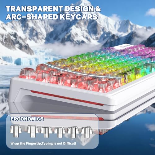 FREEWOLF M95 Transparent Membrane Keyboard with Clear Keycap,Wired Gaming Keyboard with RGB Backlit, 94 Silent Keys with Mechanical Feeling,26-Key Anti-ghosting,for Mac/Windows -White - color: White