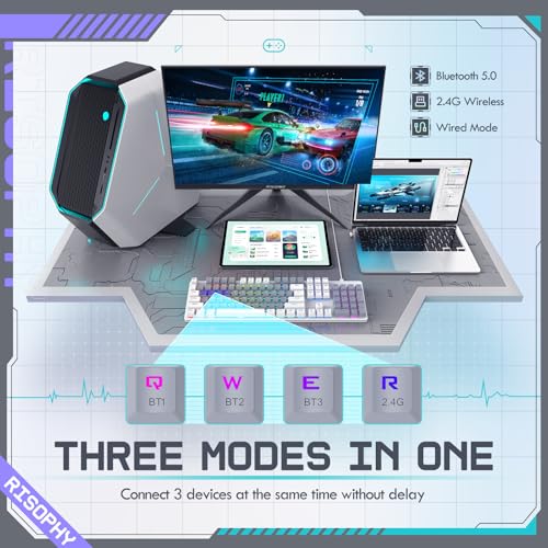 RisoPhy Wireless Mechanical Keyboard, Triple Mode 2.4G/USB-C/Bluetooth Gaming Keyboard, 104 Keys Programmable, Customize RGB Backlit, Red Switch, Bicolor PBT Keycaps, Rechargeable Wired for Laptop PC - color: Grey