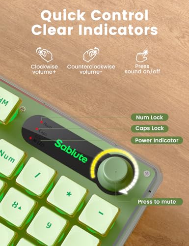 Wireless Keyboard and Mouse Combo - 9 Backlit Effects, Wrist Rest, Double-Shot Keycaps, Metal Panel, Long-Lasting Rechargeable, 2.4G Keyboard Mouse Set for Windows Mac PC Laptop – Sablute (Green) - color: Green