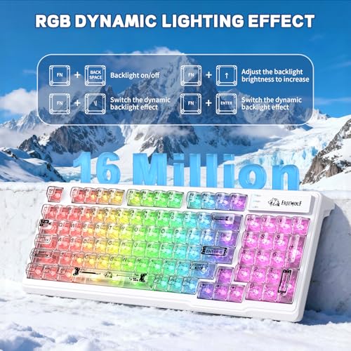 FREEWOLF M95 Transparent Membrane Keyboard with Clear Keycap,Wired Gaming Keyboard with RGB Backlit, 94 Silent Keys with Mechanical Feeling,26-Key Anti-ghosting,for Mac/Windows -White - color: White