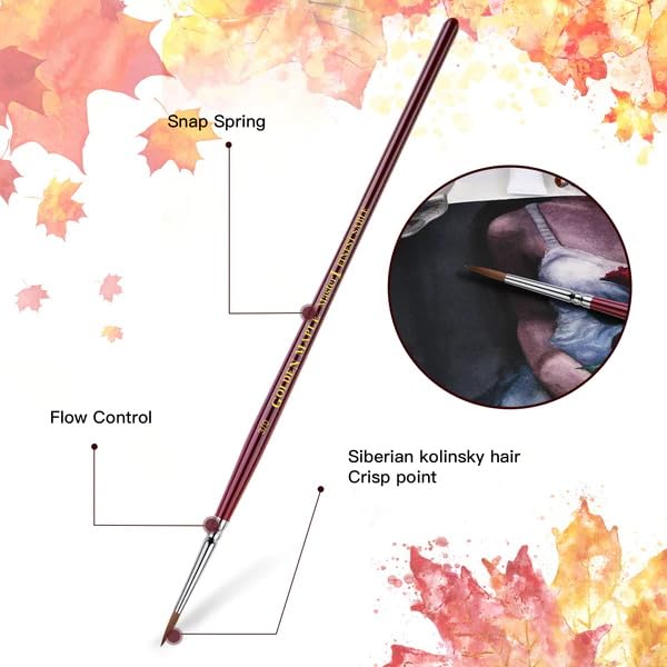Kolinsky Sable Miniature Paint Brushes - Golden Maple Professional Ultra Fine Point Brush for Miniature, Model Painting & Watercolor Details - Size 3/0 4/0 5/0 - size: 3/0 4/0 5/0 Ultra Fine Point