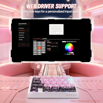 A.JAZZ AK029 Wired 29 Keys One-Handed RGB Gaming Keyboard with 8000HZ,0.01mm RT Magnetic Switches Adjustable Actuation,Hotswappable Mechanical Keyboard,Aluminum Plate,Web Driver for Gamers-Black Pink - color: Back & Pink