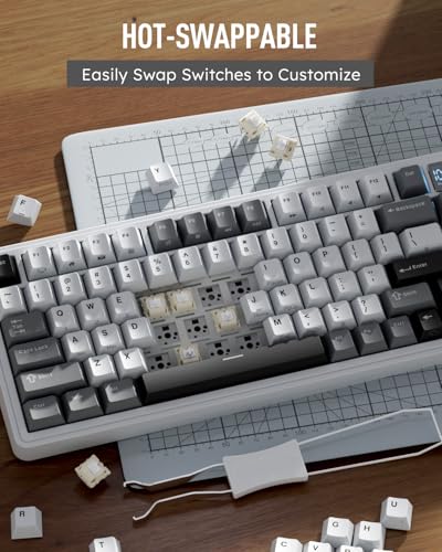 RK ROYAL KLUDGE M100 Wireless Mechanical Keyboard with Screen & Knob, White | Bluetooth/2.4G/USB RGB Gaming Keyboard with Number Pad, Hot Swappable Gasket Mount for Win/Mac/PC, PBT Keycaps, Cream Switch - color: White