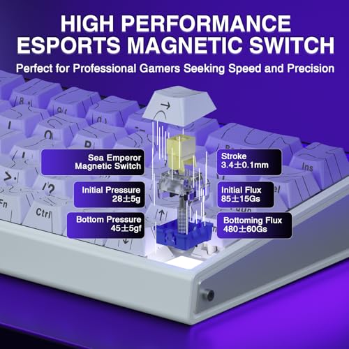 AULA Hero 68 HE 60% Gaming Keyboard Wired, Hall Effect Magnetic Switch Keyboard with Adjustable Actuation, Fast Trigger Mode, 8K Hz Polling Rate, 0.125ms Latency,Side Printed PBT Keycaps, RGB Backlit - color: Purple