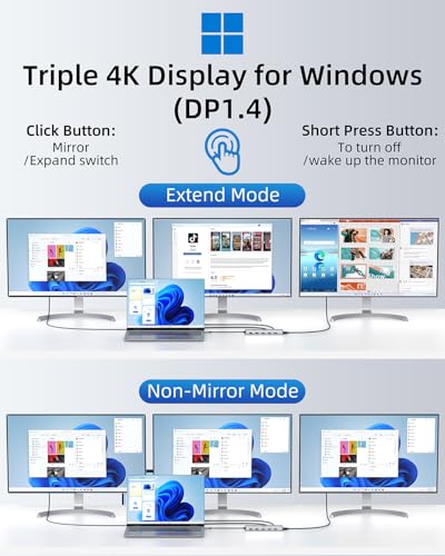 13 in 1 USB C Docking Station - Dual Monitor, Triple Display, 8 USB C/A Ports, Ethernet, Audio - LIONWEI USB C Hub for MacBook,Dell,HP,Lenovo,Surface - color: 13-in-1 Docking Station (USB C)