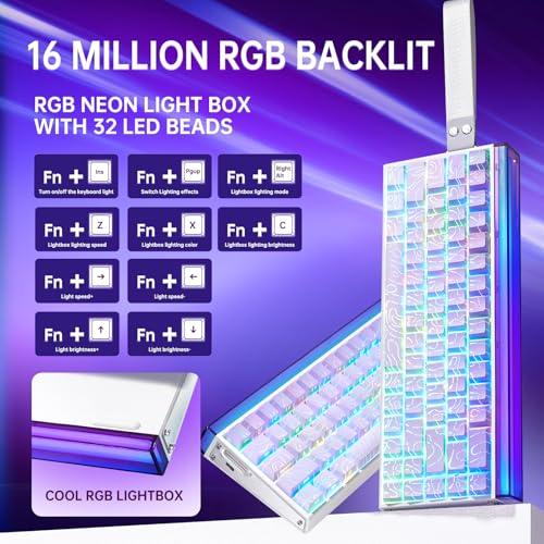 x AULA HERO 68 HE 60% Gaming Keyboard Wired, Hall Effect Mechanical Keyboard Mini with Adjustable Actuation, Rapid Trigger Mode, 8K Hz Polling Rate,0.125ms Latency,Side Printed PBT Keycaps,RGB Backlit - color: Purple