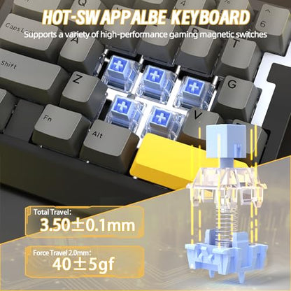 A.JAZZ AK029 Wired 29 Keys One-Handed RGB Gaming Keyboard with 8000HZ,0.01mm RT Magnetic Switches Adjustable Actuation,Hotswappable Mechanical Keyboard,Aluminum Plate,Web Driver for Gamers-Black - color: Black