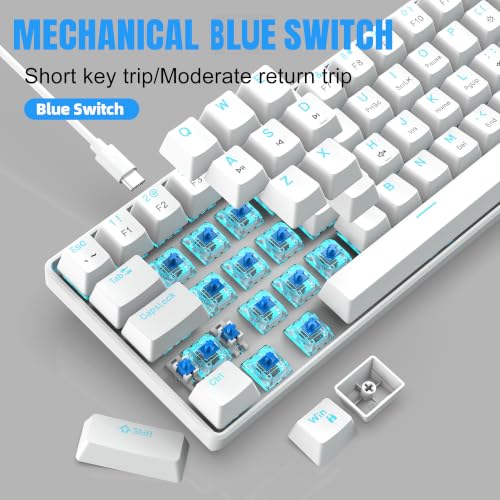 Snpurdiri 60% Mechanical Gaming Keyboard (White, Blue Switches) | Ice Blue LED Backlit 61 Keys Mini Wired Office Keyboard for Windows Laptop PC Mac - color: White(Ice Blue Light)/Blue Switch