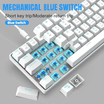 Snpurdiri 60% Mechanical Gaming Keyboard (White, Blue Switches) | Ice Blue LED Backlit 61 Keys Mini Wired Office Keyboard for Windows Laptop PC Mac - color: White(Ice Blue Light)/Blue Switch