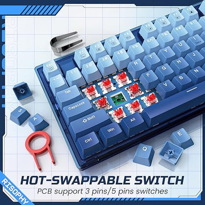 RisoPhy 60 Percent Mechanical Gaming Keyboard - 82 Keys Hot Swappable, Linear Silent Red Switches, Blue PBT Keycaps, Compact Mini RGB Led Backlit Wired, Pro Driver Supported