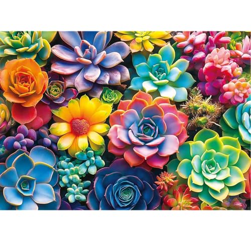 1000 Piece Puzzle for Adults, 20 x 27 inches Jigsaw Puzzles - Succulents | Tight Piece Fit, 1:1 Reference Poster, Lettered Back, Minimal Puzzle Dust, Vibrant Colors, 2mm Extra-Thick Pieces - color: 1000 Pieces-colorful Succulents