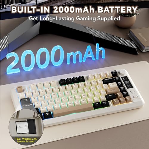 ZIYOU LANG M75 Wireless Gaming Keyboard, RGB Backlit Rechargeable 2000mAh Battery, Small Membrane But Mechanical Feel Keyboard with Smart Display & Knob, PBT Gradient keycaps for PC, MAC - Cheese - color: Cheese