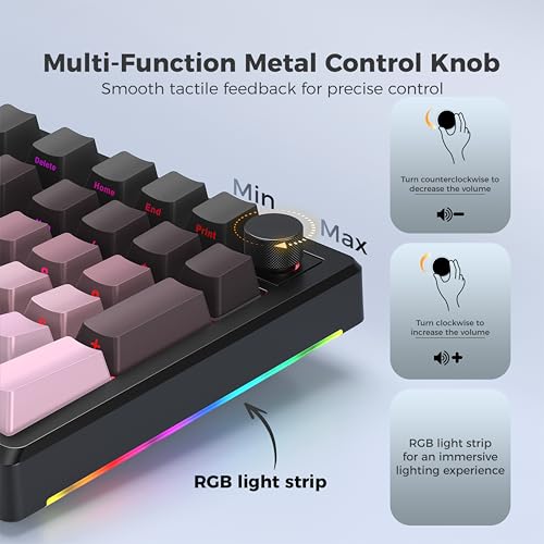 LUMI101 Wireless Mechanical Keyboard,Full-size keyboard with numeric keypad，Tri-Mode BT5.0/2.4GHz/USB-C Hot Swappable Custom Keyboard,RGB Backlit Computer Gaming Keyboards for PC/Tablet/PS/Xbox(Pink) - color: Pink