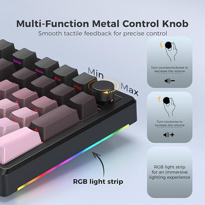 LUMI101 Wireless Mechanical Keyboard,Full-size keyboard with numeric keypad，Tri-Mode BT5.0/2.4GHz/USB-C Hot Swappable Custom Keyboard,RGB Backlit Computer Gaming Keyboards for PC/Tablet/PS/Xbox(Pink) - color: Pink