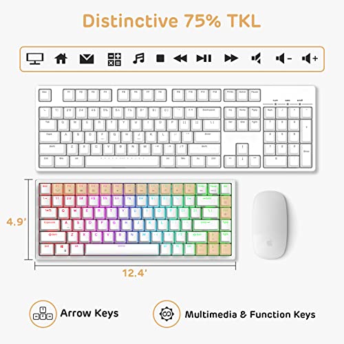 RK ROYAL KLUDGE RK84 Wired RGB 75% Hot Swappable Mechanical Keyboard, 84 Keys Tenkeyless TKL Gaming Keyboard w/Programmable Software, RK Brown Switch - color: White, size: Hot Swappable Brown Switch