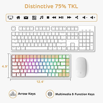 RK ROYAL KLUDGE RK84 Wired RGB 75% Hot Swappable Mechanical Keyboard, 84 Keys Tenkeyless TKL Gaming Keyboard w/Programmable Software, RK Brown Switch - color: White, size: Hot Swappable Brown Switch