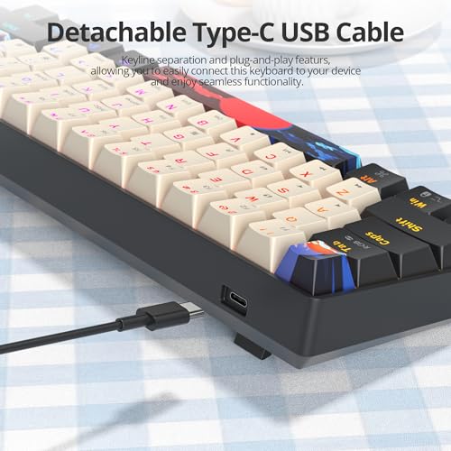 60% Mechanical Keyboard Black and White, Compact 60 Percent Gaming Keyboard RGB Backlit, 61 Keys Red Switches Mini Keyboard, USB Wired Office Keyboard for Windows Mac Laptop PC (61 Carbon) - color: 61 Carbon/Red Switch