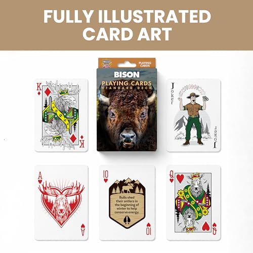 Masterpieces Bison Playing Cards Deck - Animal Themed Standard 54 Card Deck, Unique Bison Face Cards & Jokers, Retro Style, for Families & Adults - style: Bison