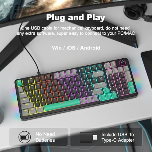 AK96 Mechanical Keyboard Smart Display & Knob, Top Mount 96% Wired Mechanical Keyboard USB-C, Hot Swappable, Software Support, Creamy Sounding, 96 Keys (Black) - color: Black