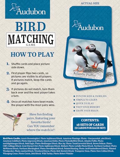 Masterpieces Officially Licensed Audubon Picture Matching Card Game for Kids and Families - style: Audubon