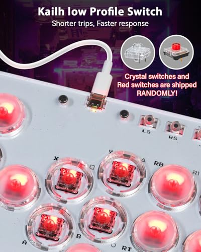 Sehawei Haute42 Arcade Stick 16Keys All-Button Gamerfinger with Turbo Functions & Custom RGB,Arcade Controller Street Fight for PC/Ps3/Ps4/Switch/Steam Game Keyboard-Supports Hot Swap & SOCD - color: T16 White