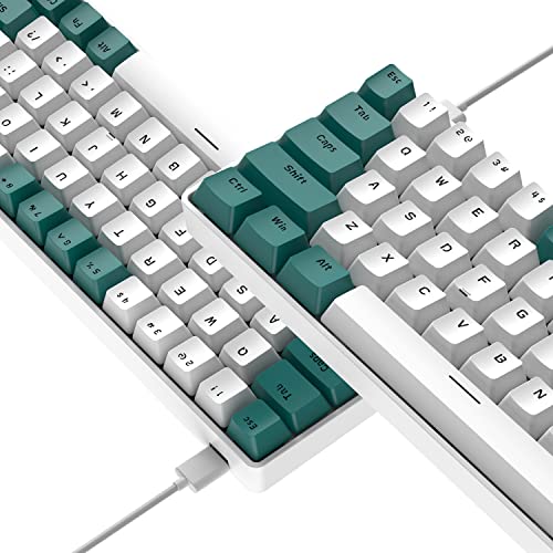 68 Keys Wired Mechanical Gaming Keyboards with RGB Backlight, Mini Portable 60% Mechanical Gaming Keyboard for Computer Laptop Gamer (Aqua Edition Blue Switch) - color: Aqua Edition Blue Switch