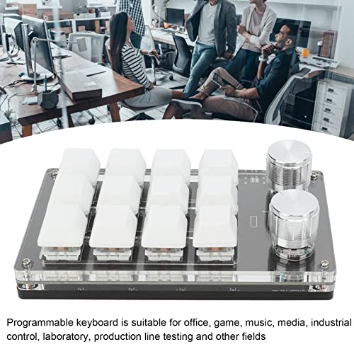 Ejoyous Macro Keyboard, One Handed Macro Mechanical Gaming Keypad 12 Key Programmable Keyboard with Knob for Office Games Compatible with Vista (Black White) - color: White