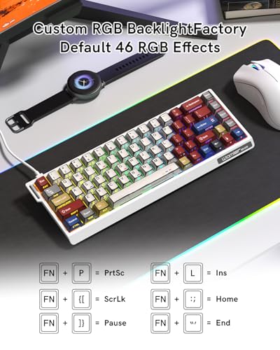 SK68 65% Gaming Keyboard, Wired Backlit Mini Keyboard w/100% Hot-Swap Socket 68 Keys Aluminum Gaming Wired Keyboard for PC Laptop Game - color: White