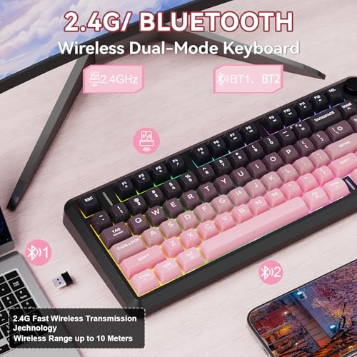 ZIYOU LANG M75 Wireless Gaming Keyboard, RGB Backlit Rechargeable 2000mAh Battery, Small Membrane But Mechanical Feel Keyboard with Smart Display & Knob, PBT Gradient keycaps for PC, MAC-BlackBerry - color: Blackberry