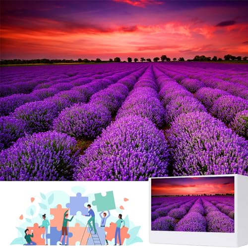 1000 Pieces for Spring Jigsaw Puzzles, Lavender Nature Landscape Flowers Puzzles for Adults, Plants Challenging Funny Puzzles for Friends Family Activity Game Nights Gifts - color: Spring