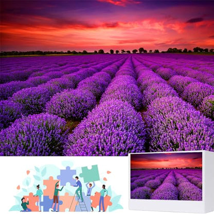 1000 Pieces for Spring Jigsaw Puzzles, Lavender Nature Landscape Flowers Puzzles for Adults, Plants Challenging Funny Puzzles for Friends Family Activity Game Nights Gifts - color: Spring